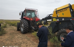 2019年，內(nèi)蒙奈吉牧草有限公司，采購一臺(tái)Anderson檸條平茬機(jī)